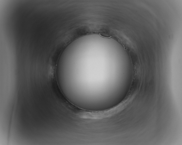 X0000101950033200807251143