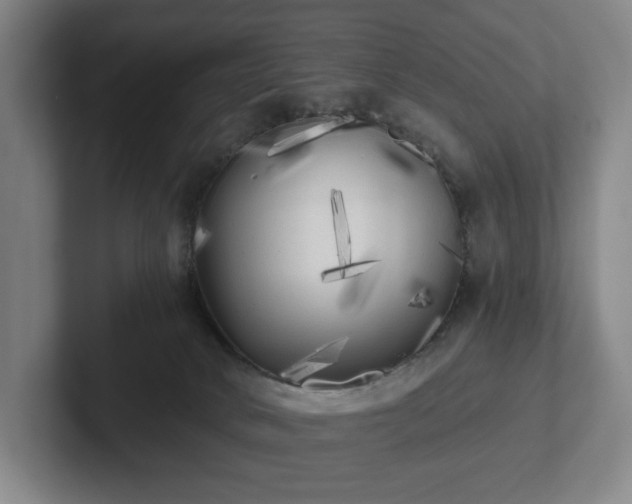 X0000101950034200807251143