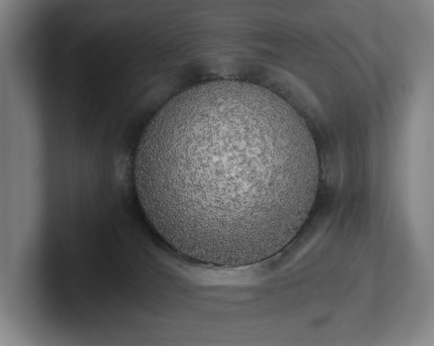 X0000101950036200807251143