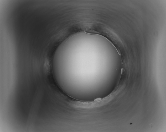 X0000101950037200807251143