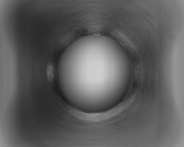 X0000101950038200807251143