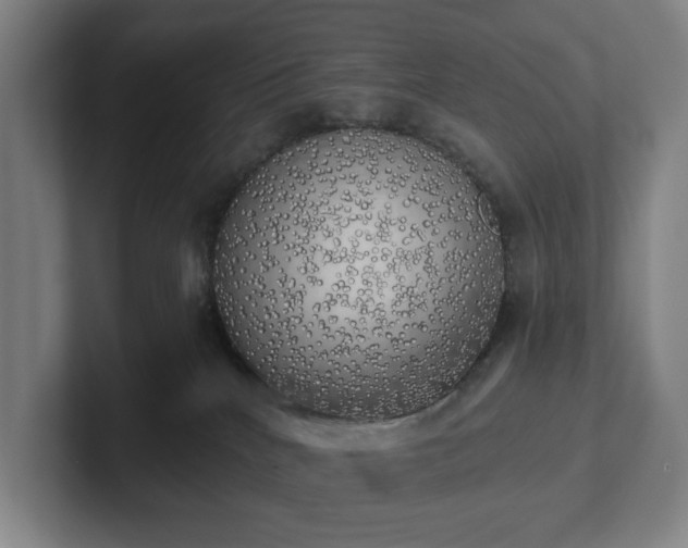 X0000101950040200807251143