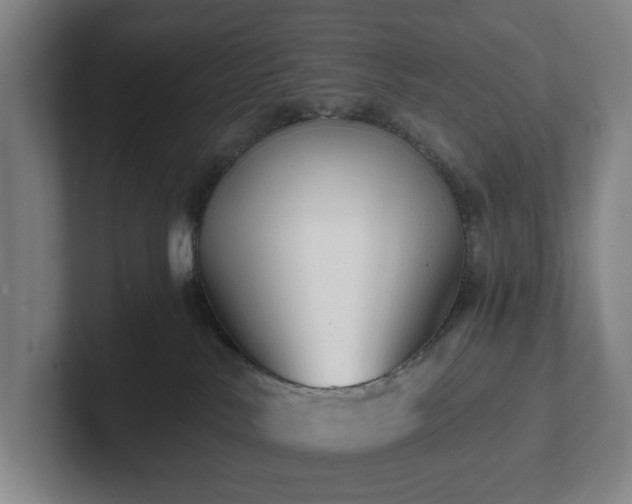 X0000101950042200807251143