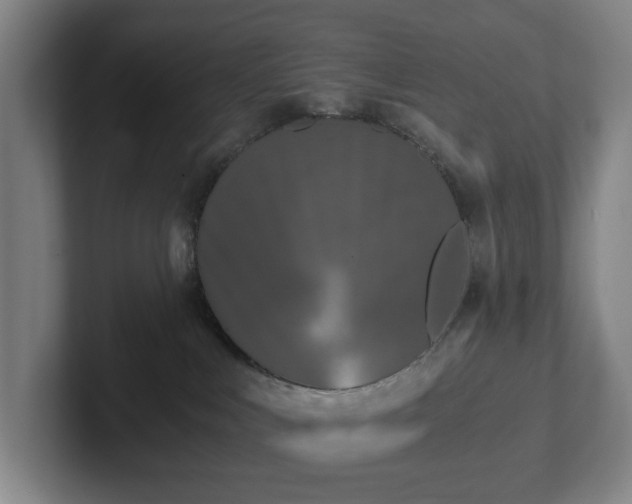 X0000101950043200807251143