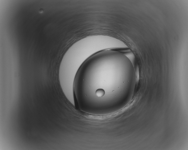 X0000101950045200807251143