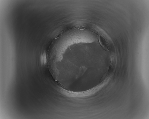 X0000101950046200807251143