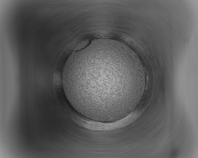 X0000101950048200807251143