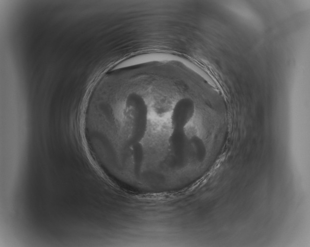 X0000101950049200807251142