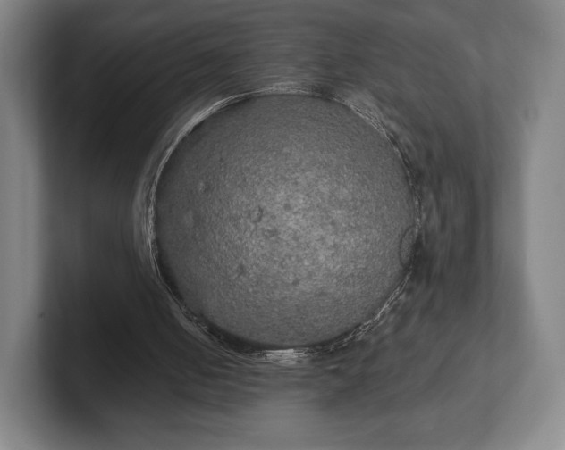 X0000101950050200807251142