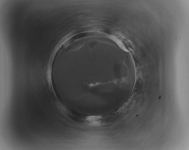 X0000101950051200807251142