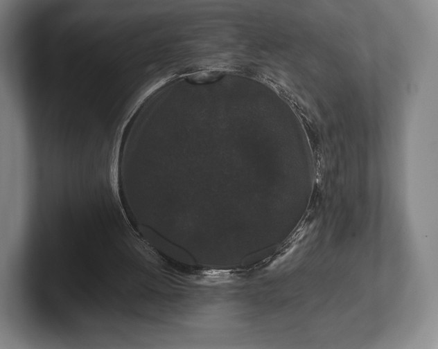 X0000101950052200807251142