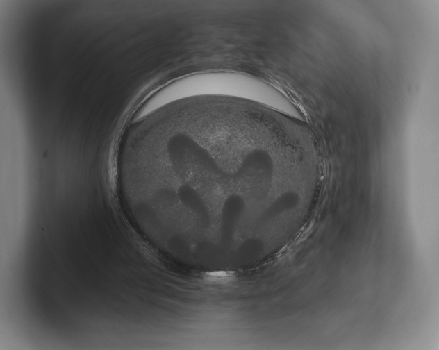 X0000101950053200807251143