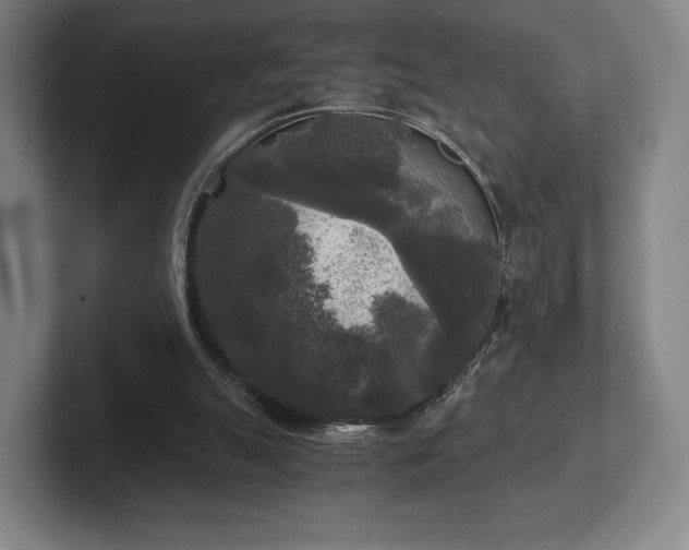 X0000101950055200807251143