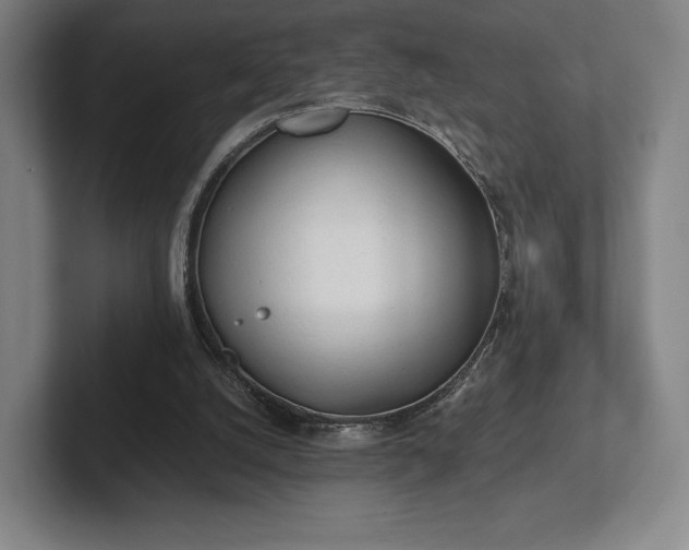 X0000101950056200807251143