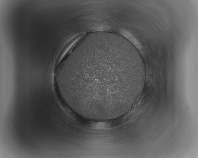 X0000101950058200807251143