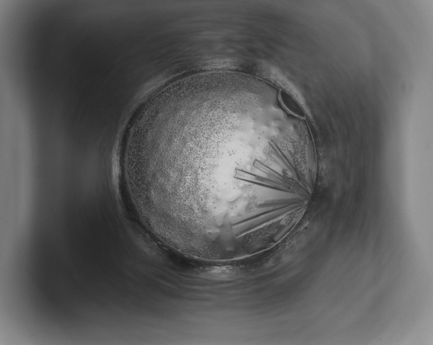 X0000101950059200807251143