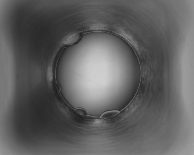 X0000101950060200807251143