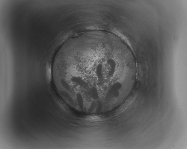 X0000101950061200807251143