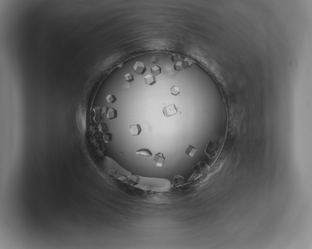 X0000101950062200807251143