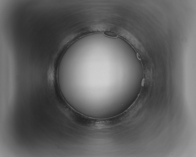 X0000101950064200807251143