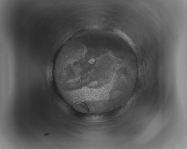 X0000101950065200807251143