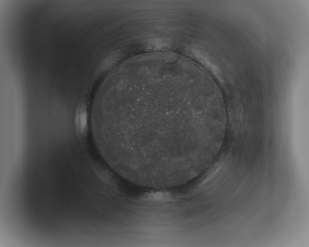 X0000101950067200807251143