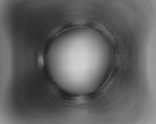 X0000101950068200807251143