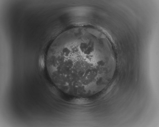 X0000101950069200807251143