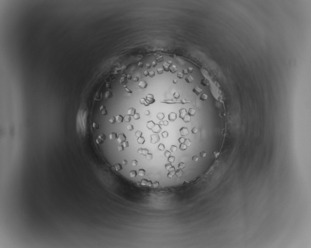 X0000101950070200807251143