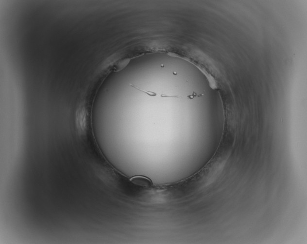 X0000101950071200807251143