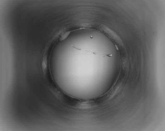 X0000101950072200807251143