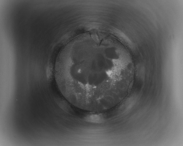 X0000101950073200807251143