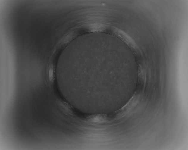 X0000101950074200807251143