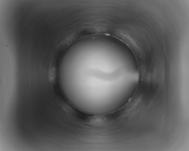 X0000101950077200807251143