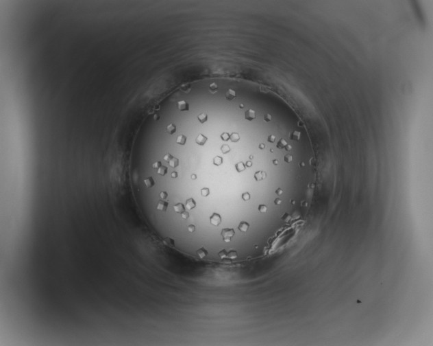 X0000101950078200807251143