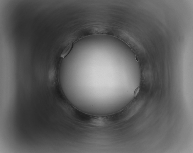 X0000101950079200807251143