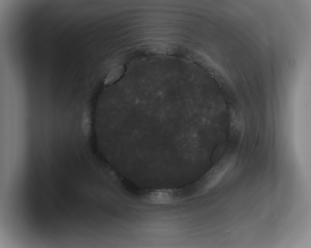 X0000101950080200807251143