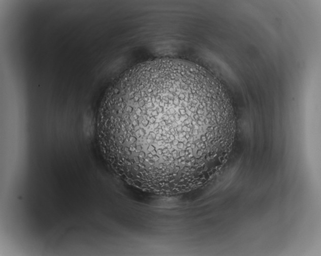 X0000101950081200807251143