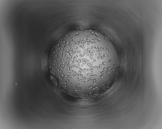 X0000101950082200807251143