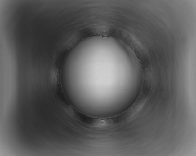 X0000101950083200807251143