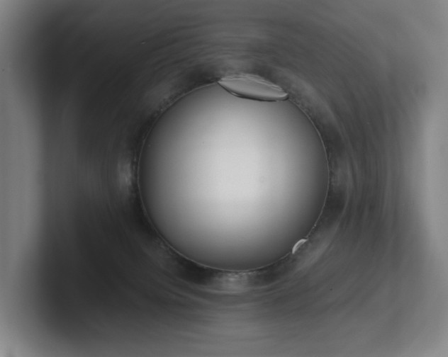 X0000101950084200807251143