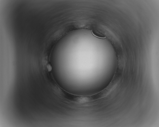 X0000101950085200807251143