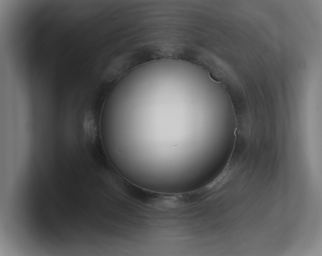 X0000101950086200807251143