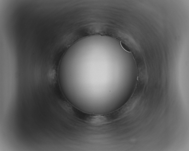 X0000101950087200807251143