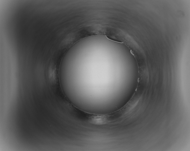 X0000101950088200807251143