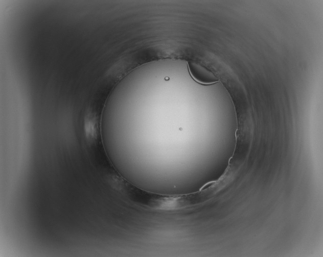 X0000101950090200807251143