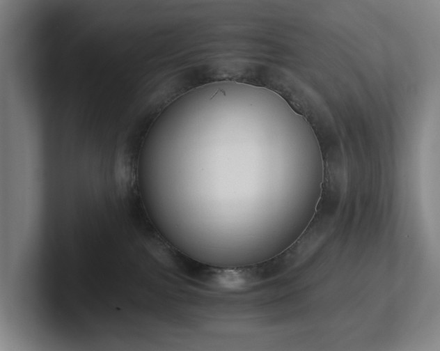 X0000101950091200807251143