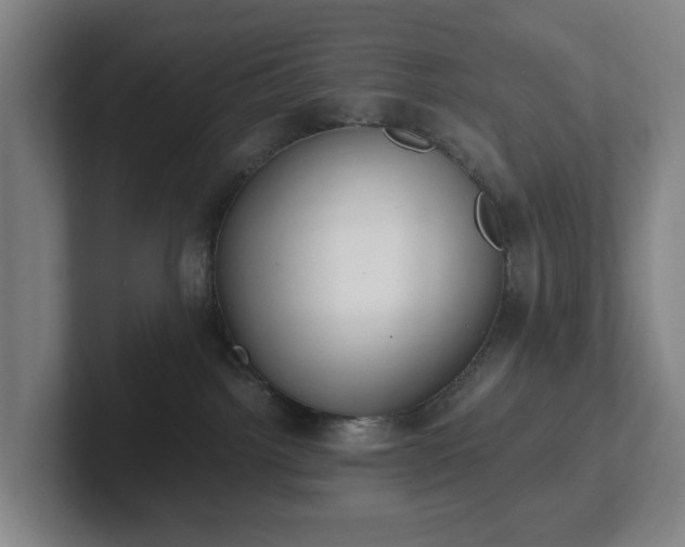 X0000101950092200807251143