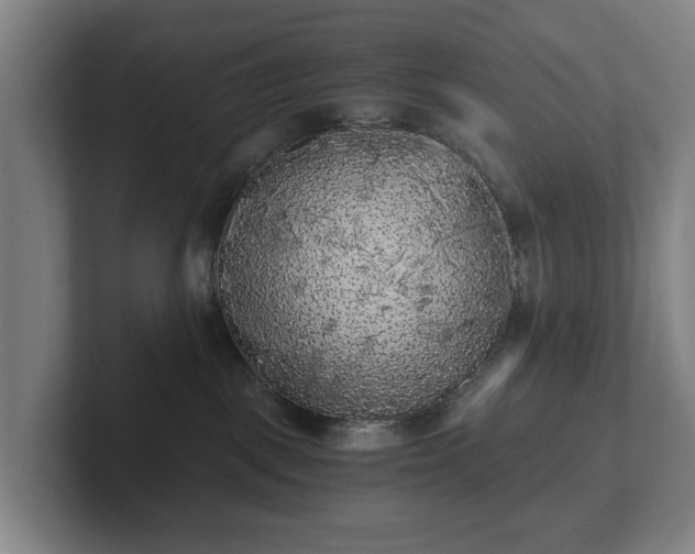 X0000101950093200807251143