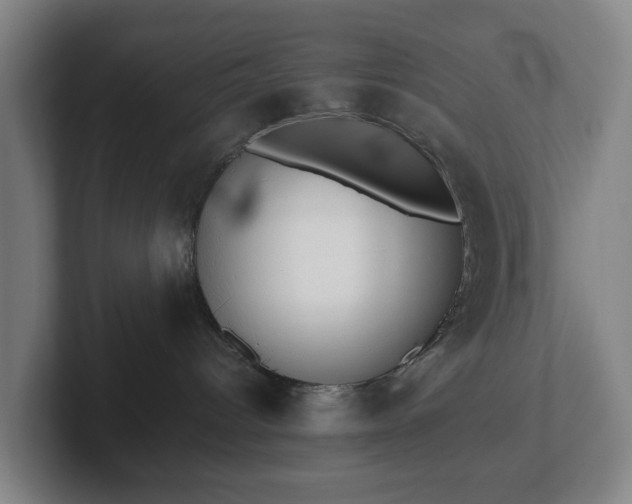 X0000101950096200807251143